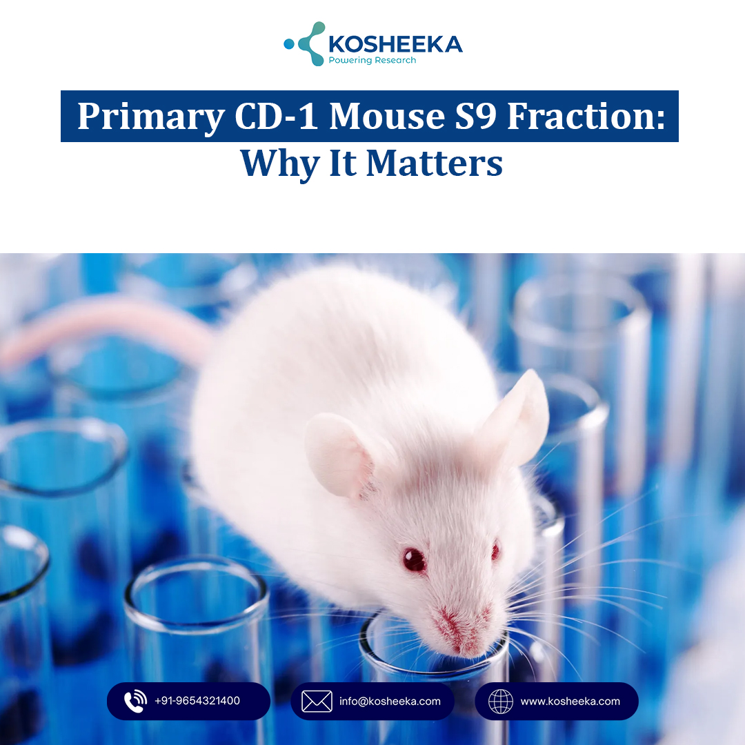 Primary CD-1 Mouse S9 Fraction: Why It Matters