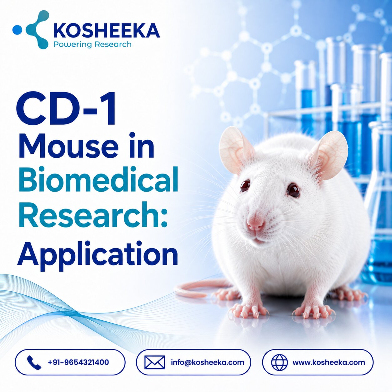 CD-1 Mouse in Biomedical Research: Application