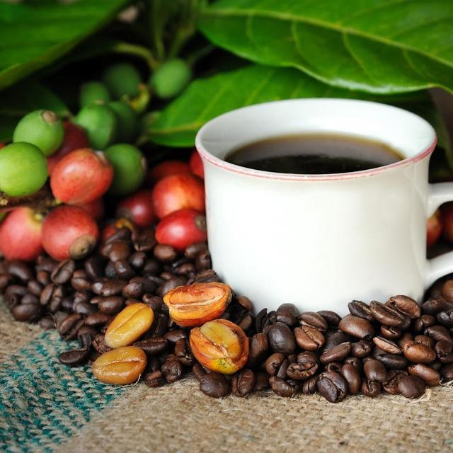 Experience the True Essence of Hawaiian Kona Coffee and Tea