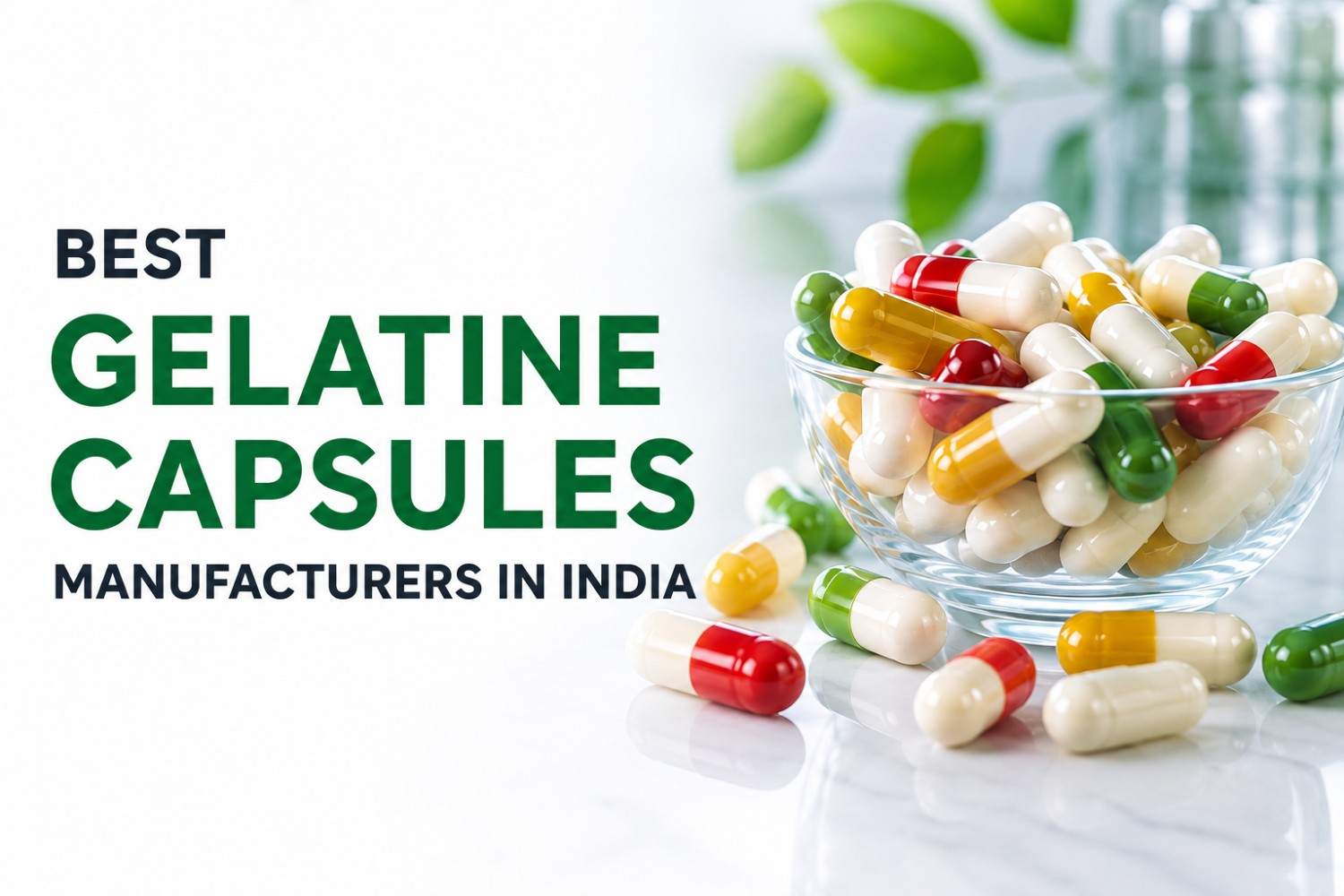 Most trusted empty gelatine capsules manufacturer in India