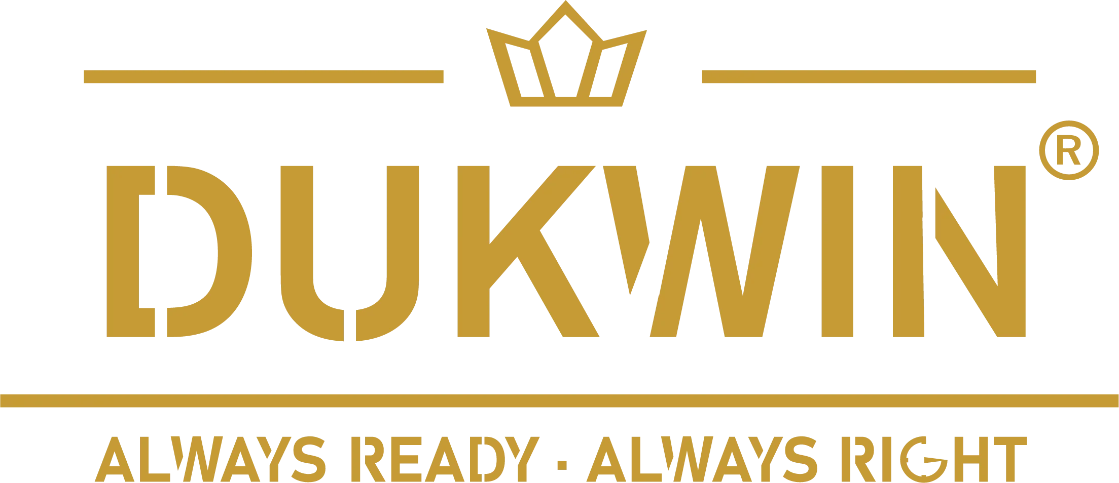 Best Automatic Watch Winder with RGB Lights | Dukwin