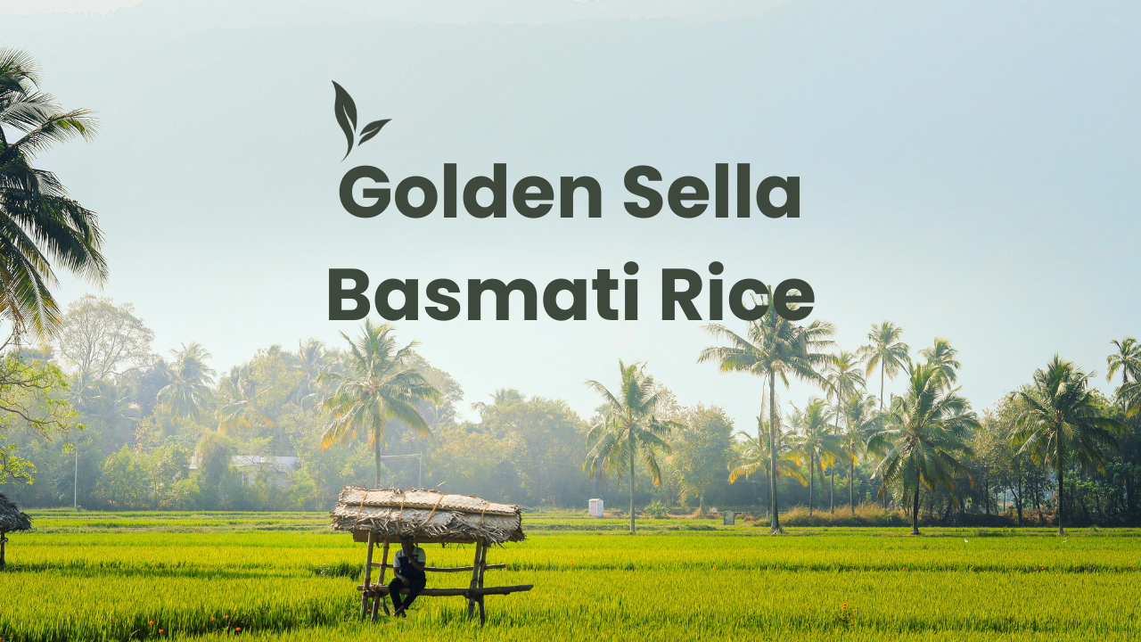Golden Sella Basmati Rice: Processing, Characteristics and Uses