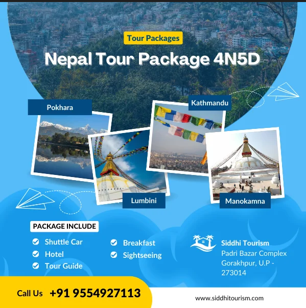 Aviation Colleges