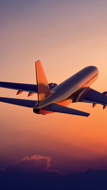 Aviation Colleges