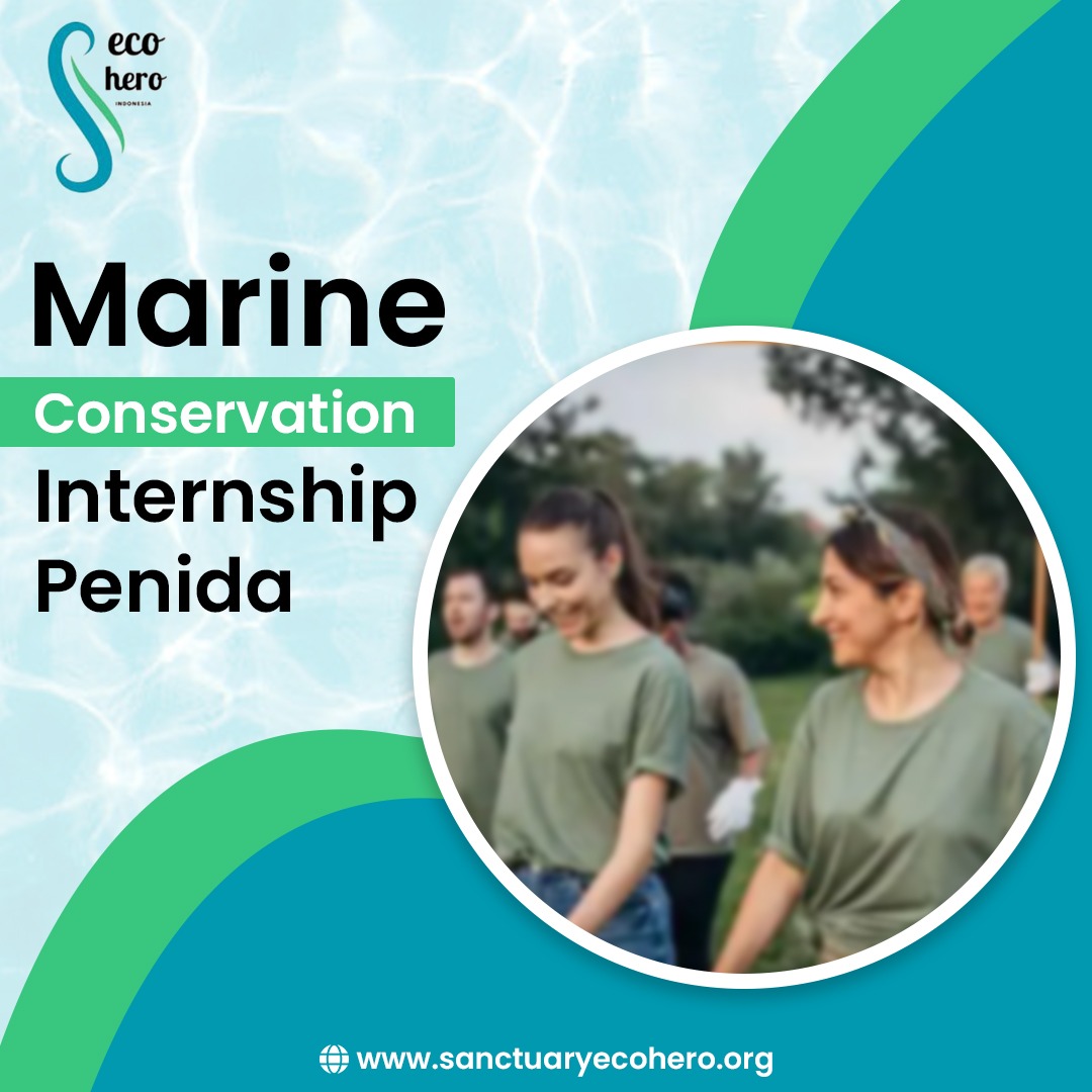 Marine Conservation Internship Penida