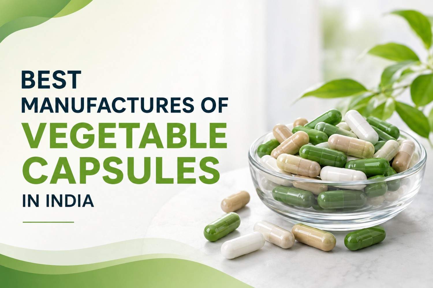 Reputed manufacture of vegetable capsules online in India