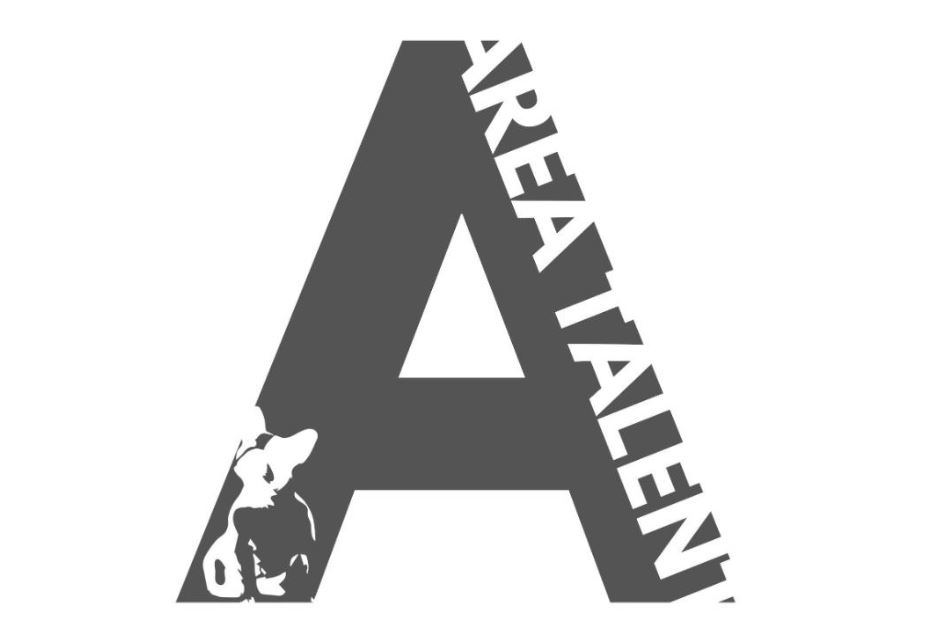 Aviation Colleges