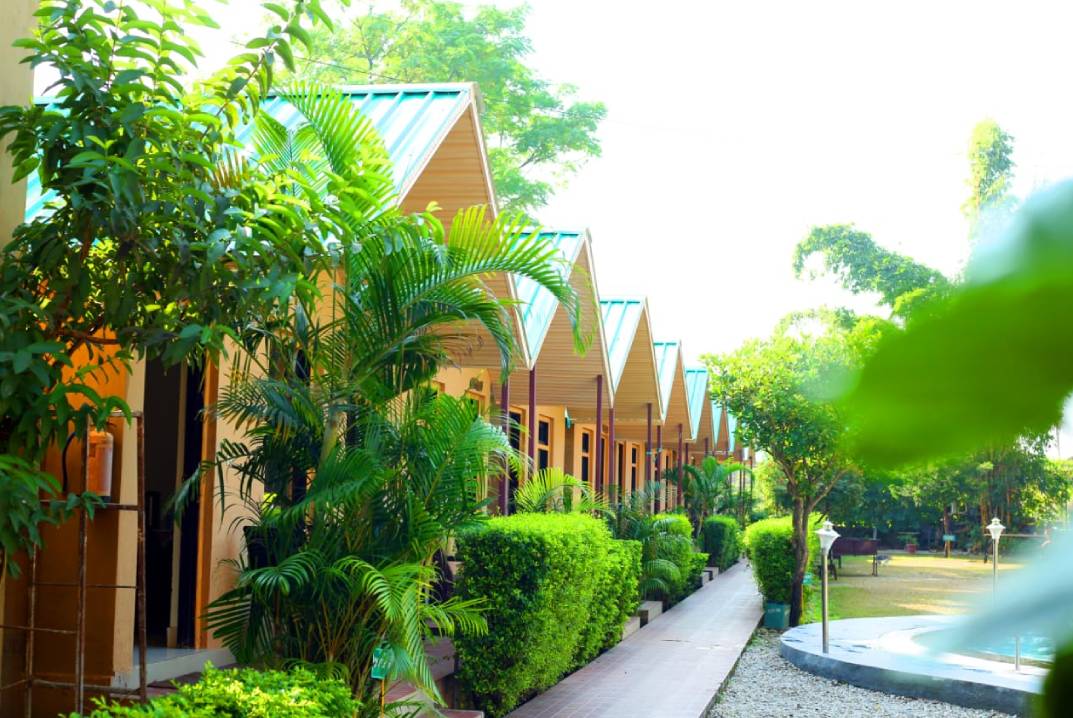 Planning a Trip to Jim Corbett? Check Out This Budget-Friendly Resort with a Pool!