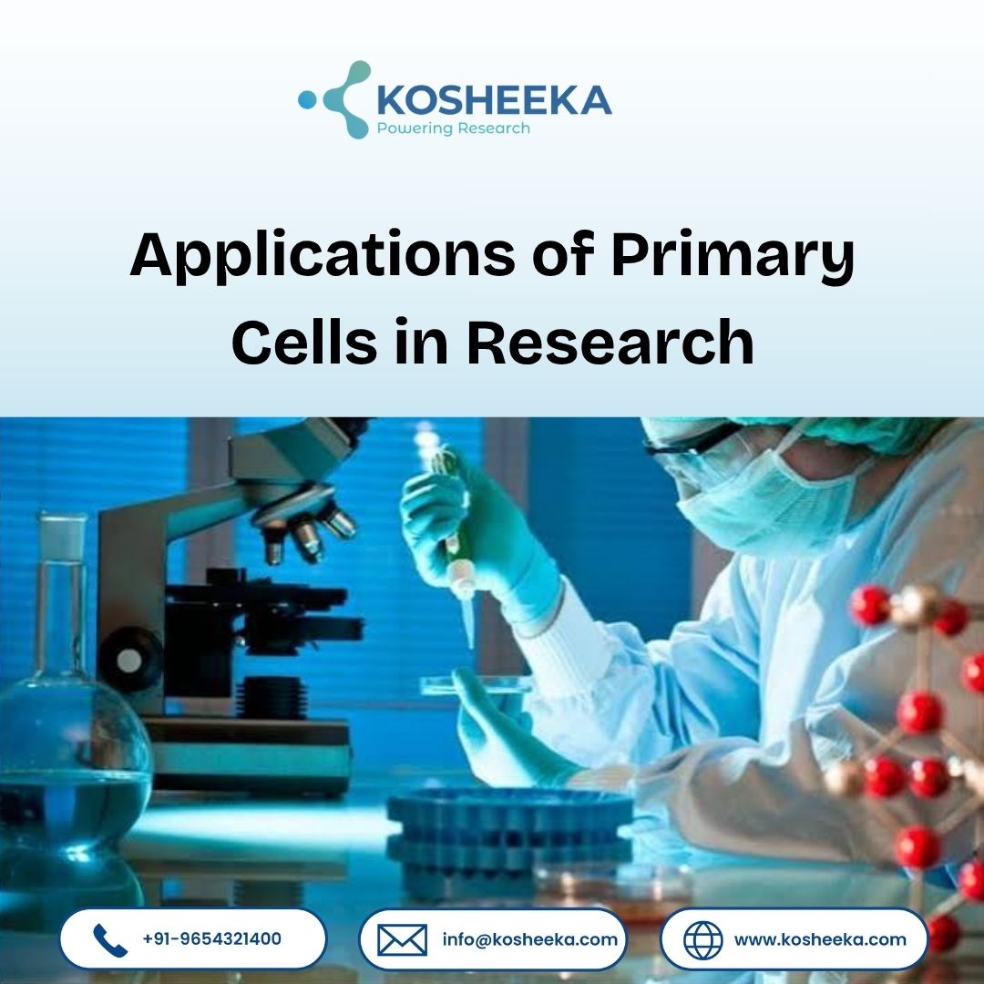 Applications of Primary Cells in Research
