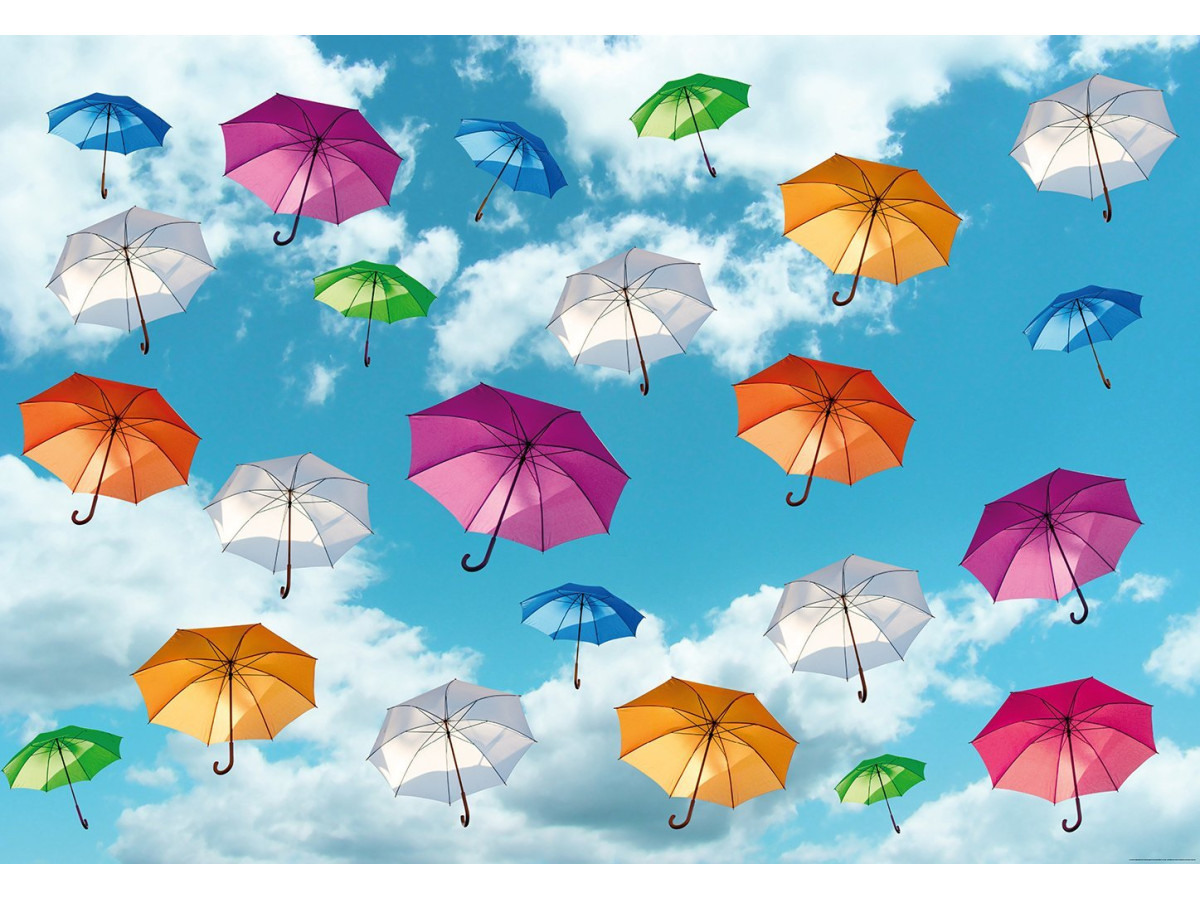 Women's Umbrellas — A Bright Accent and Reliable Protection from Rain