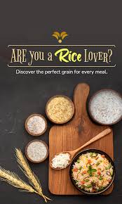 Basmati Rice Supplier in North Delhi - Kuber International