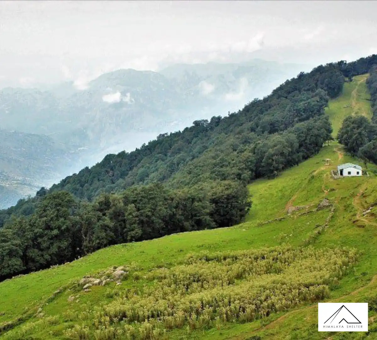Nag Tibba Trek By Himalaya Shelter