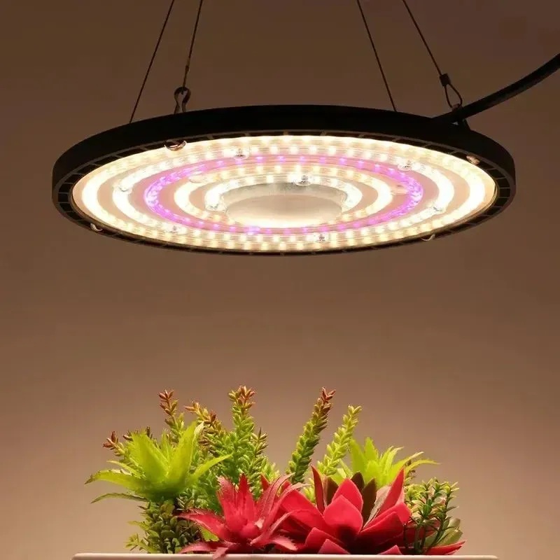 Nurturing Life from Within: Bringing Natural Light into Every Corner of Your Home