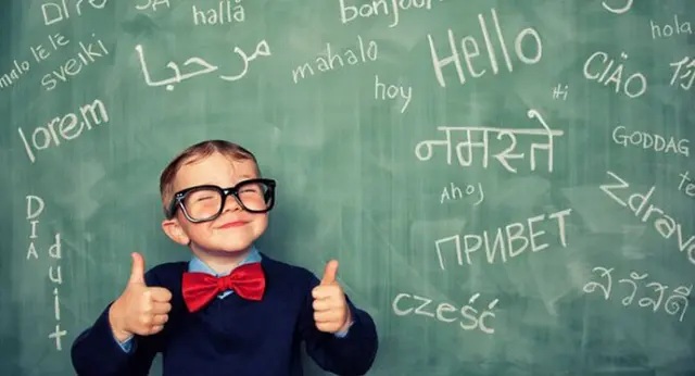 Professional Spanish Translation for Every Important Step