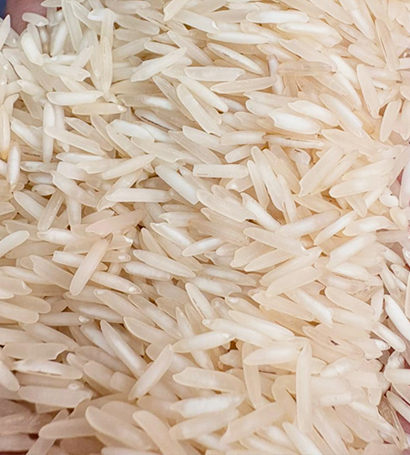 Basmati Rice Manufacturers in India – Premium Quality Rice | Paramounte Rice