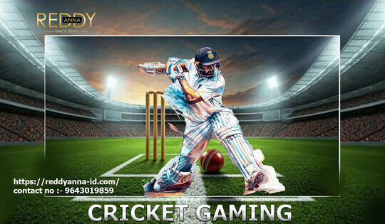 Reddy Anna Online Book ID Connects Fans with Structured Insights